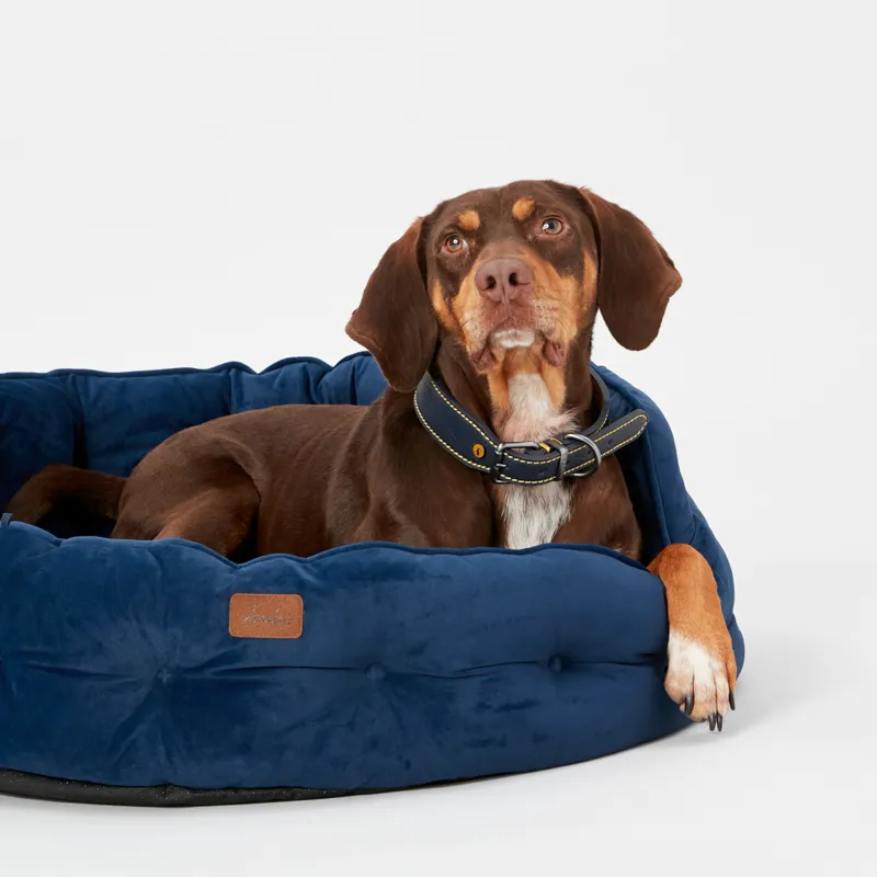 Joules Chesterfield Dog Bed Navy-3